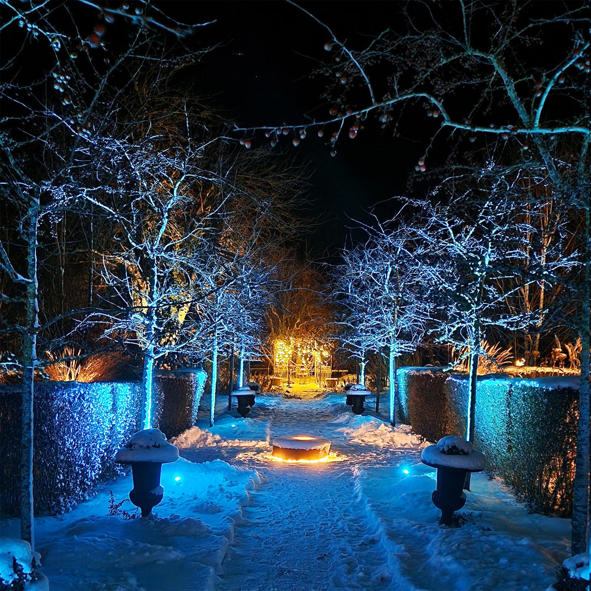 Arcus LED-spotlight installerad i gräsmatta vid en buske