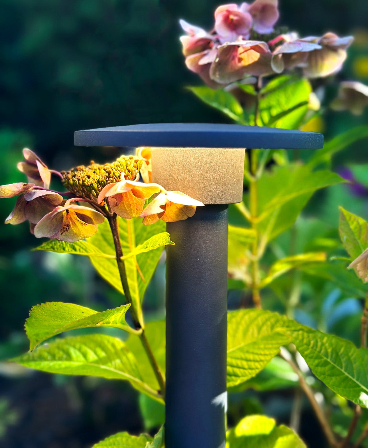 Orbit trädgårdsbelysning i skandinavisk design från LightsOn