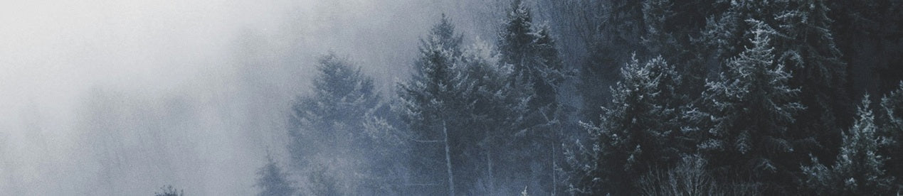 Vinter