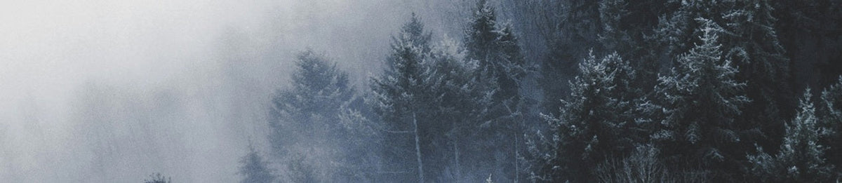 Vinter