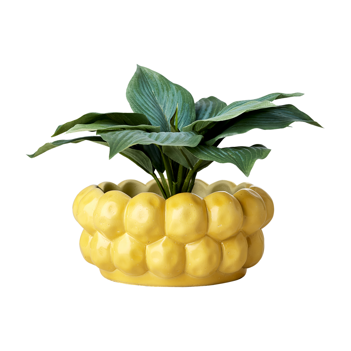 Närbild på den gula keramikkrukan ADA i modern design