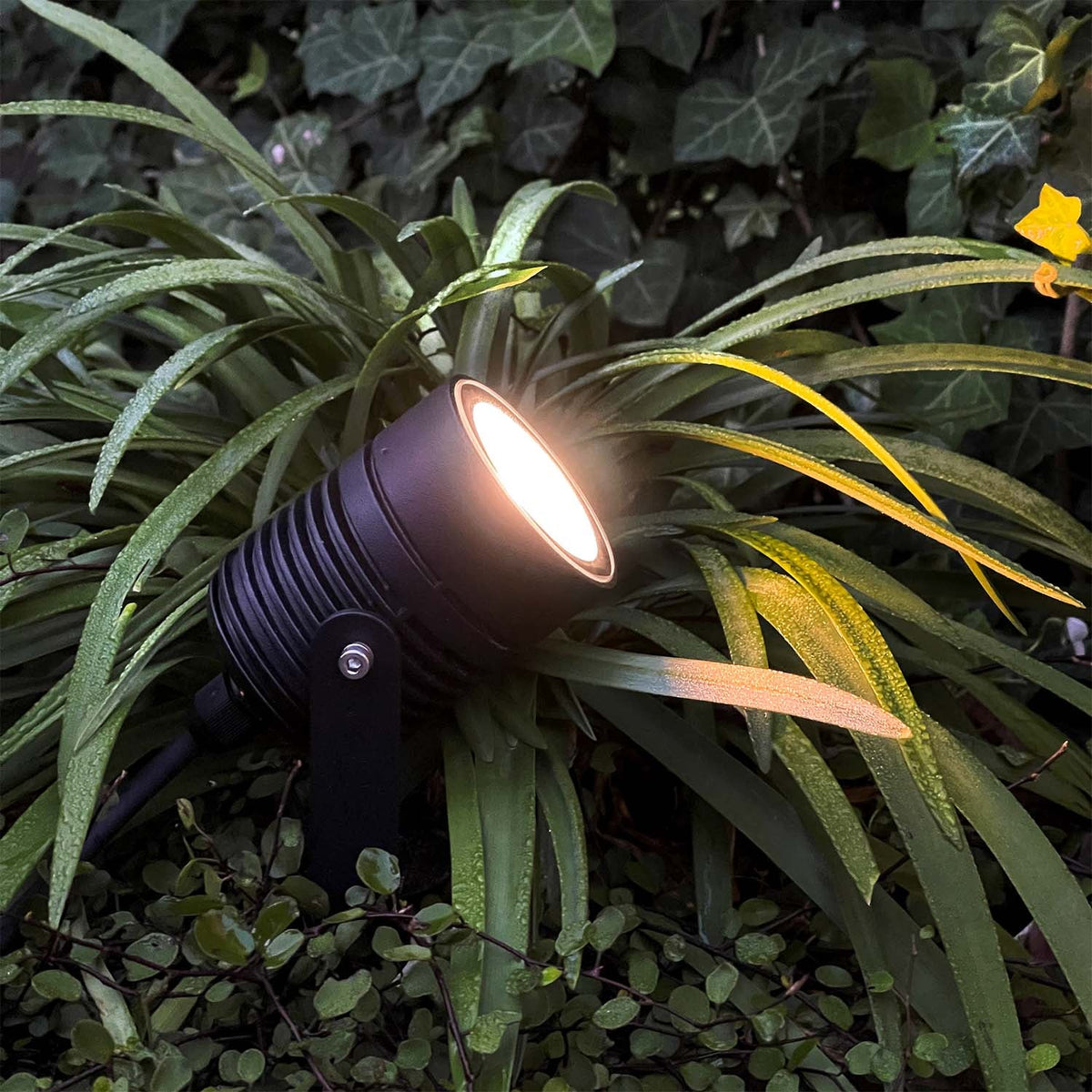 Smart LED-markspot Nova riktad uppåt för belysning av träd