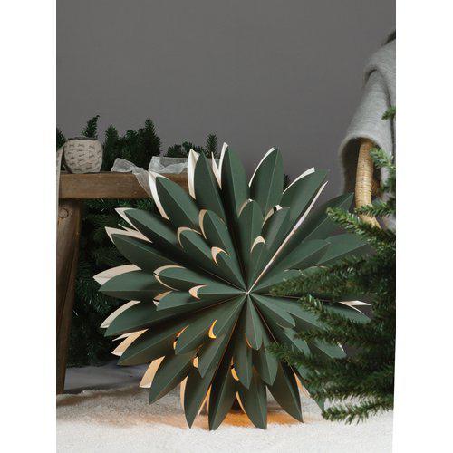 Hyacint Stjärna Grön 50 cm