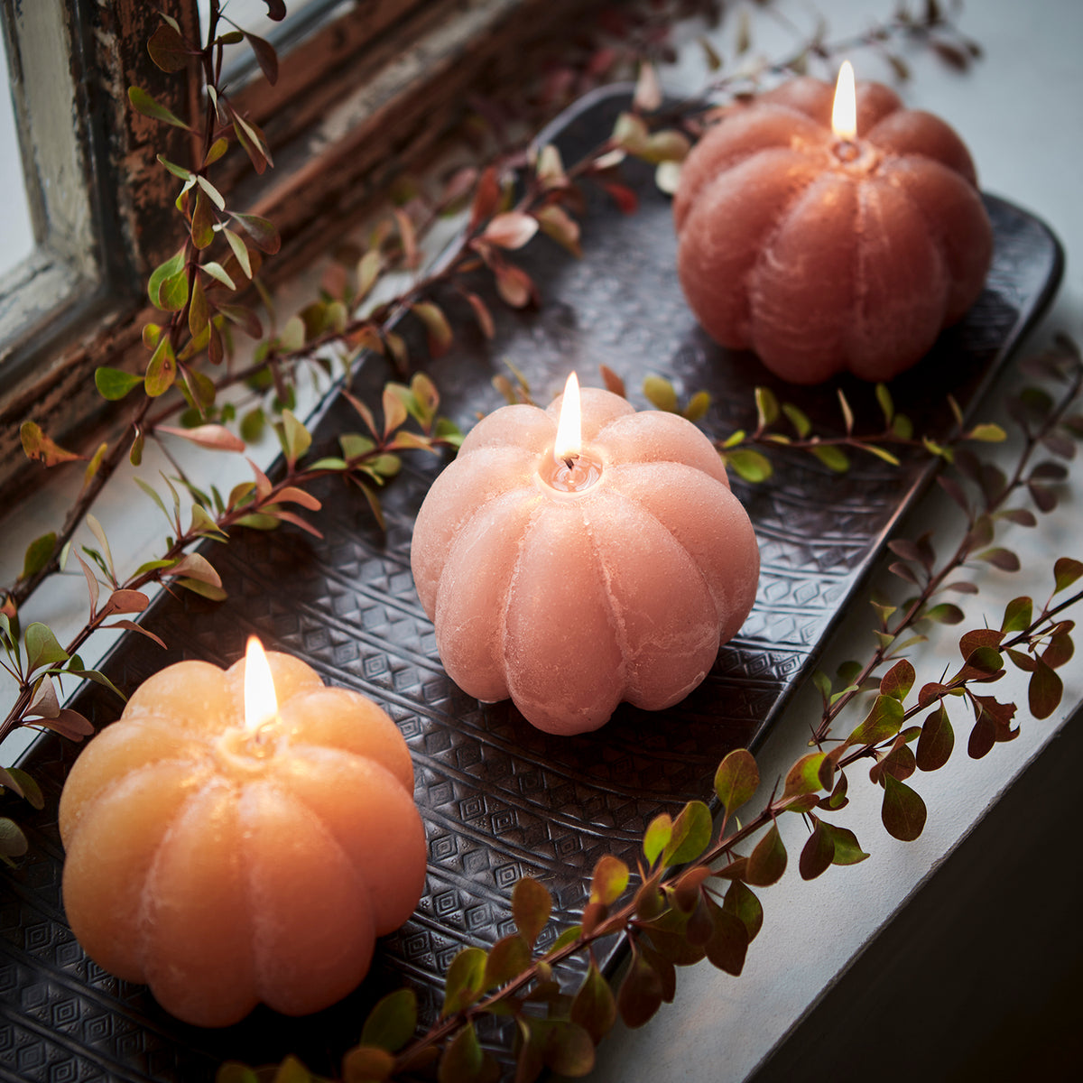 DECO pumpaljus kola med 50 timmars brinntid för höstdekoration