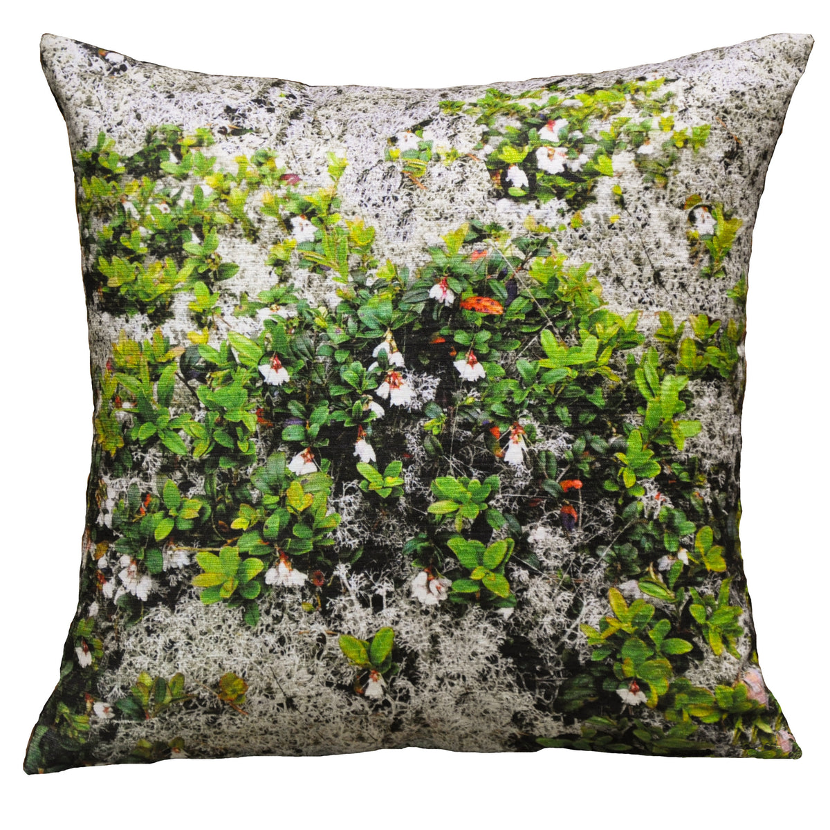 Kuddfodral Arkipelag 50x50 cm med fototryck av gråmossa och blommande lingonris