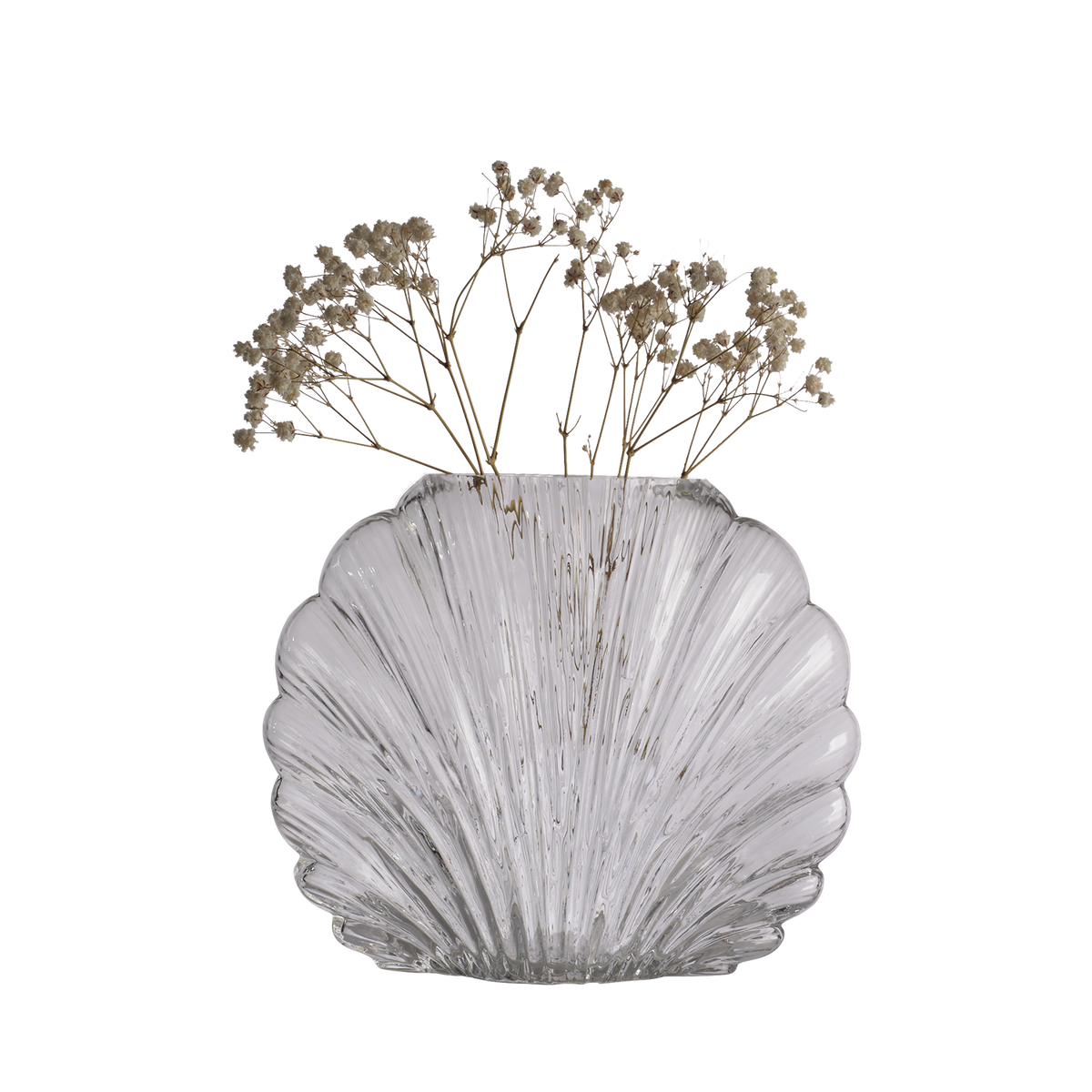 SHELL vas i klart glas med snäckliknande form fylld med skira torkade blommor mot svart bakgrund.