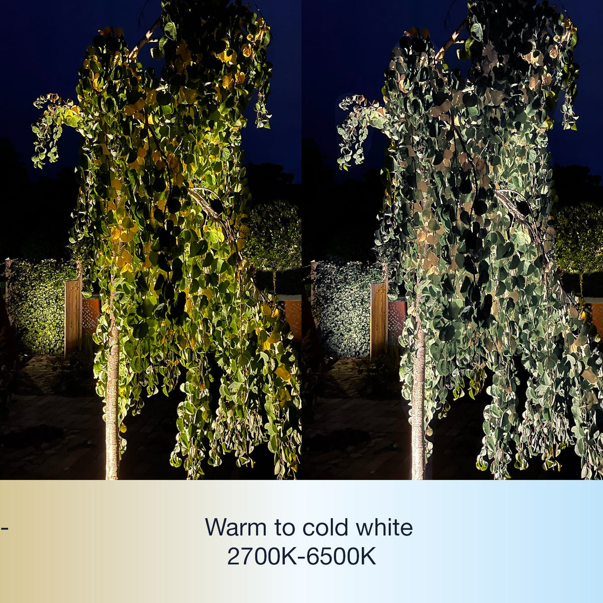Nova smart belysning som visar det dimbara och varma LED-ljuset